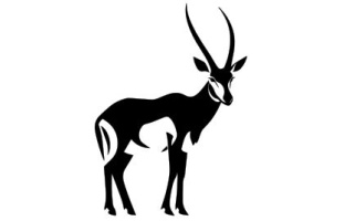 Antelope