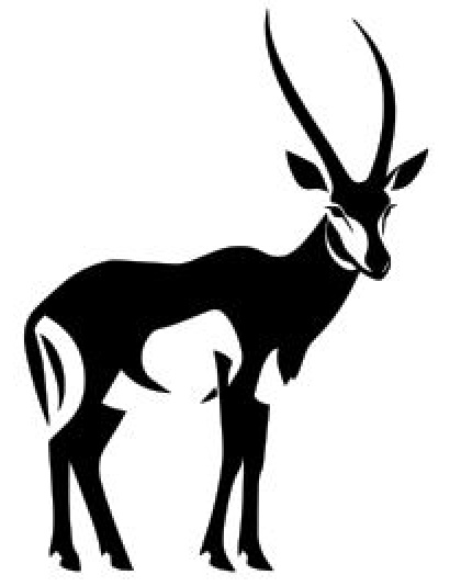 Antelope