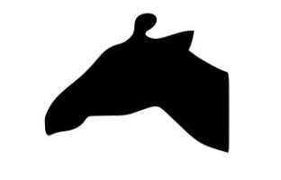 Giraffe Head (Facing Left)
