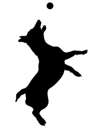 Dog Jumping For Ball