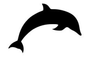 Dolphin