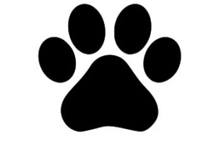 Dog Paw