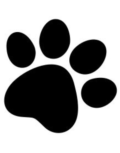Dog Paw