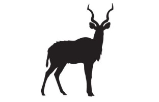 Kudu