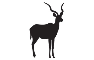 Kudu