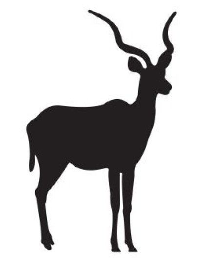 Kudu