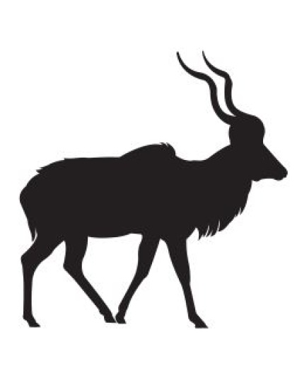Kudu