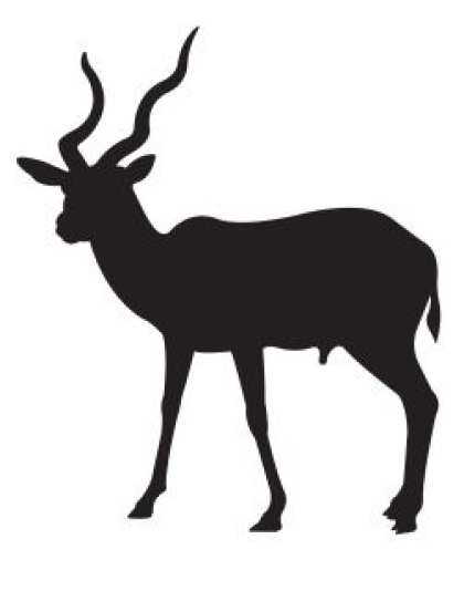Kudu
