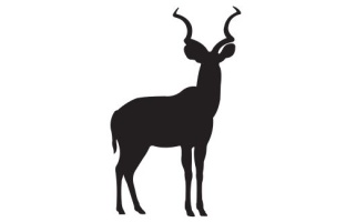 Kudu